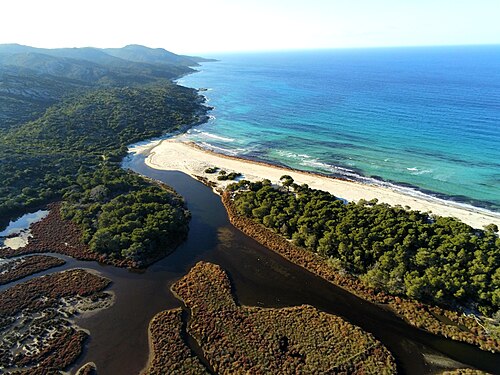 The Agriates beaches: Lotu and Saleccia