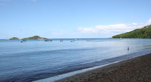 Malendure and the Cousteau Reserve