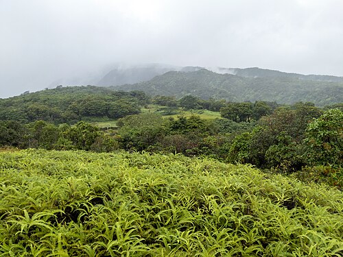 Tahiti Iti